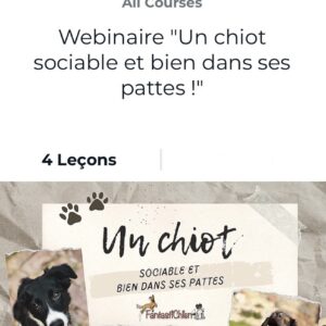 Webinaire "Un chiot sociable et bien dans ses pattes !" par FantastiChien