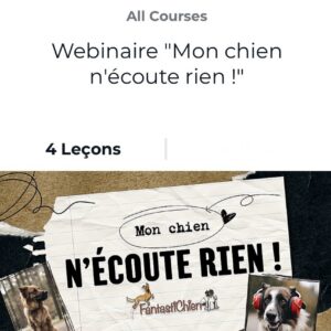 Webinaire "Mon chien n'écoute rien !" par FantastiChien