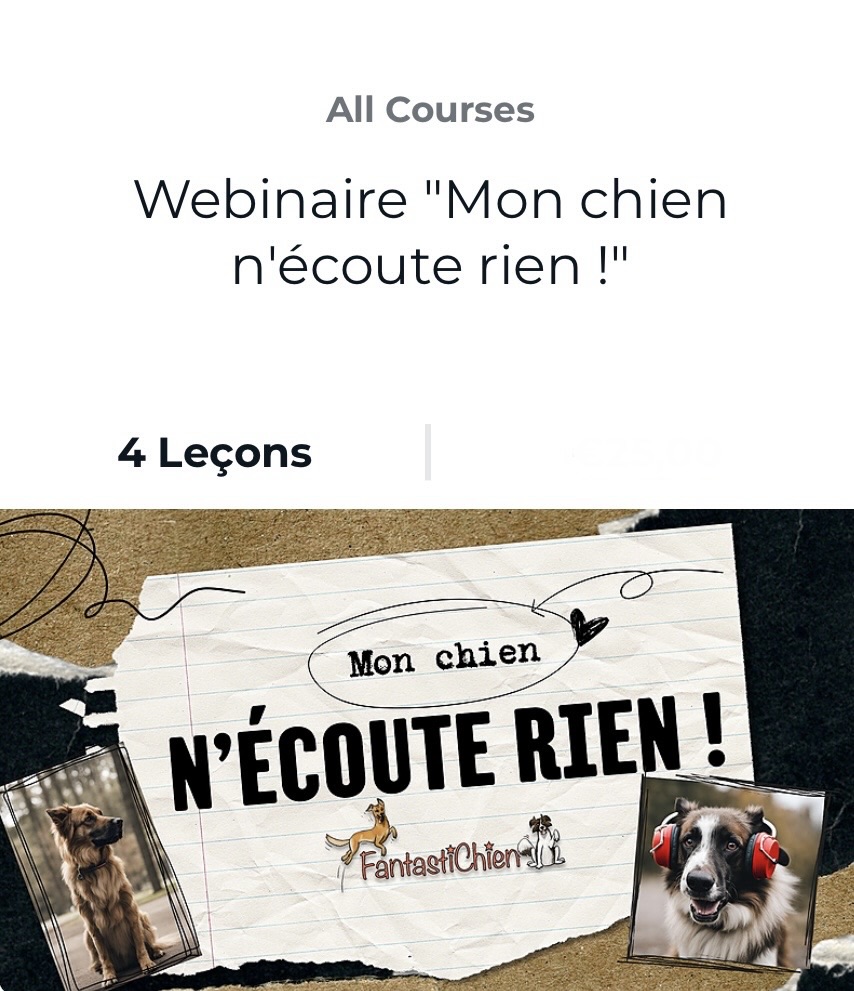 Webinaire "Mon chien n'écoute rien !" par FantastiChien
