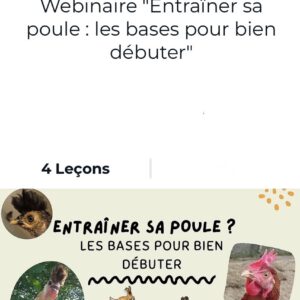 Webinaire "Entraîner sa poule : les bases pour bien débuter" par FantastiChien