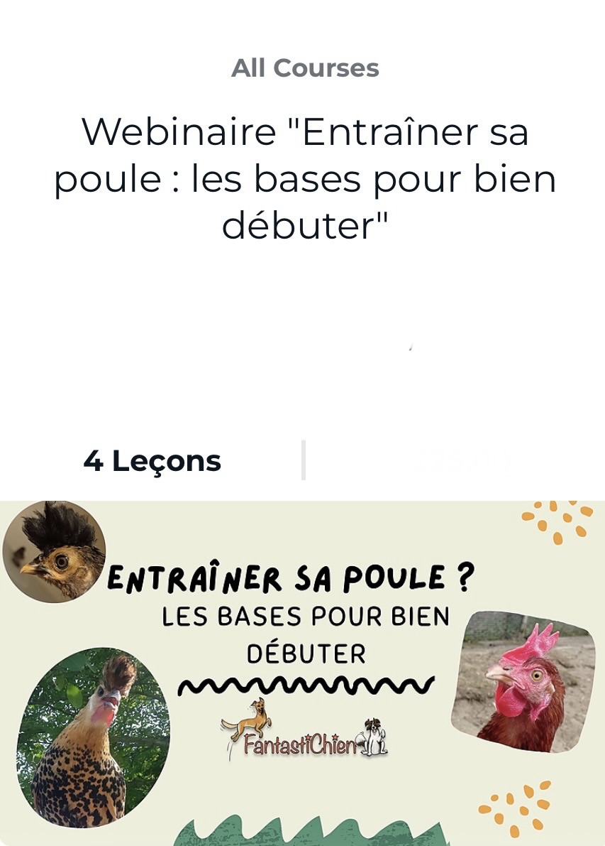 Webinaire "Entraîner sa poule : les bases pour bien débuter" par FantastiChien