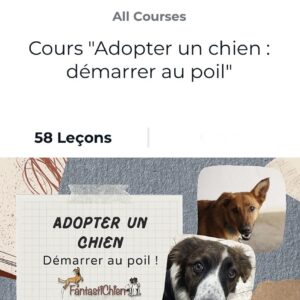 Cours "Adopter un chien : démarrer au poil" par FantastiChien