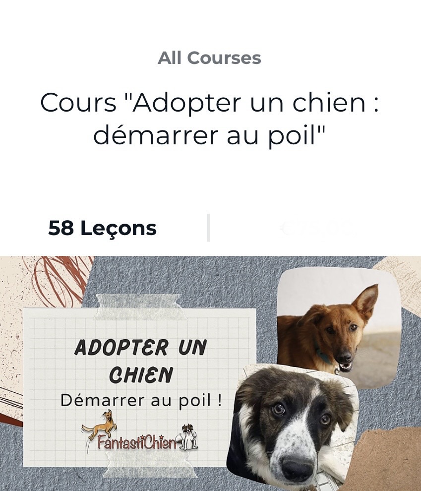 Cours "Adopter un chien : démarrer au poil" par FantastiChien