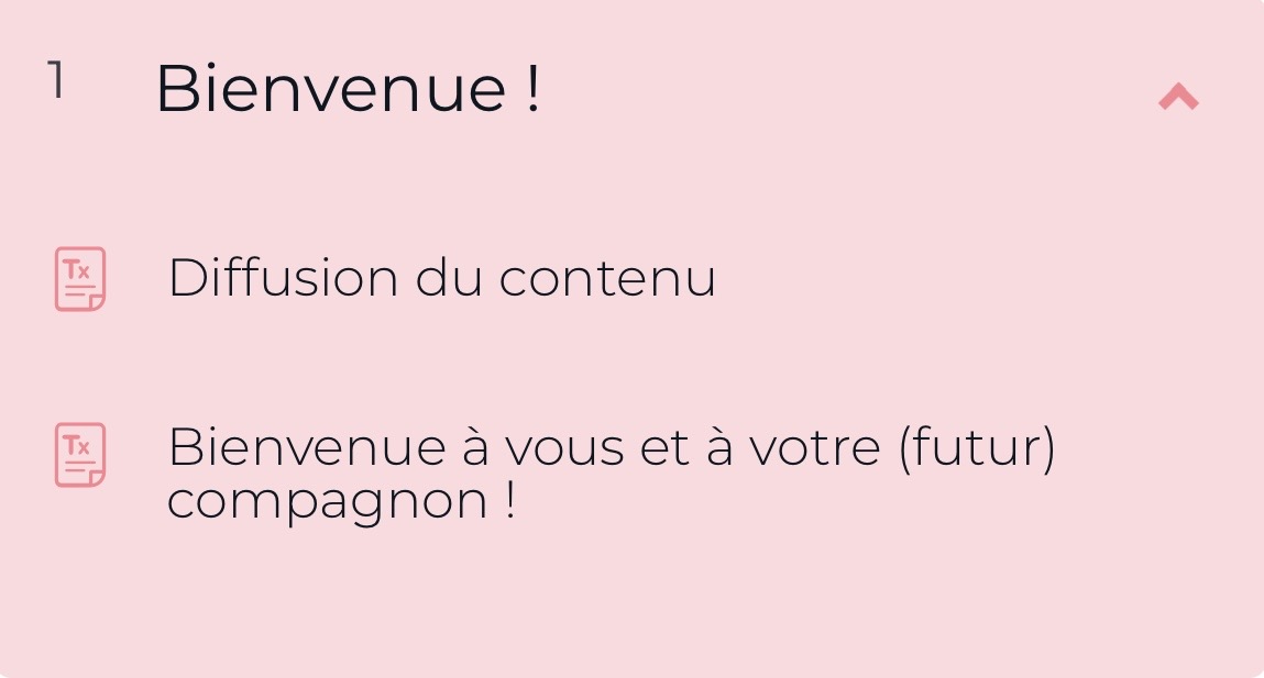 Cours "Adopter un chien : démarrer au poil" par FantastiChien – Image 3
