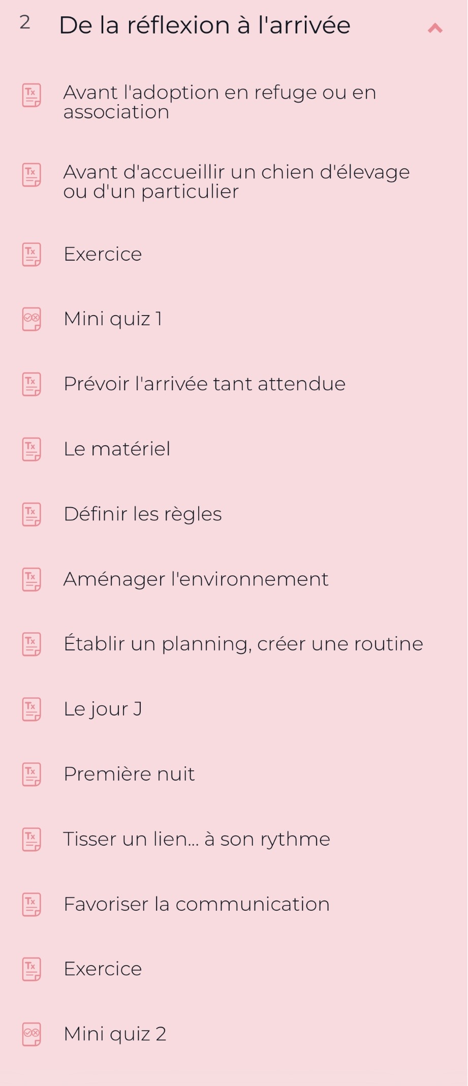 Cours "Adopter un chien : démarrer au poil" par FantastiChien – Image 4