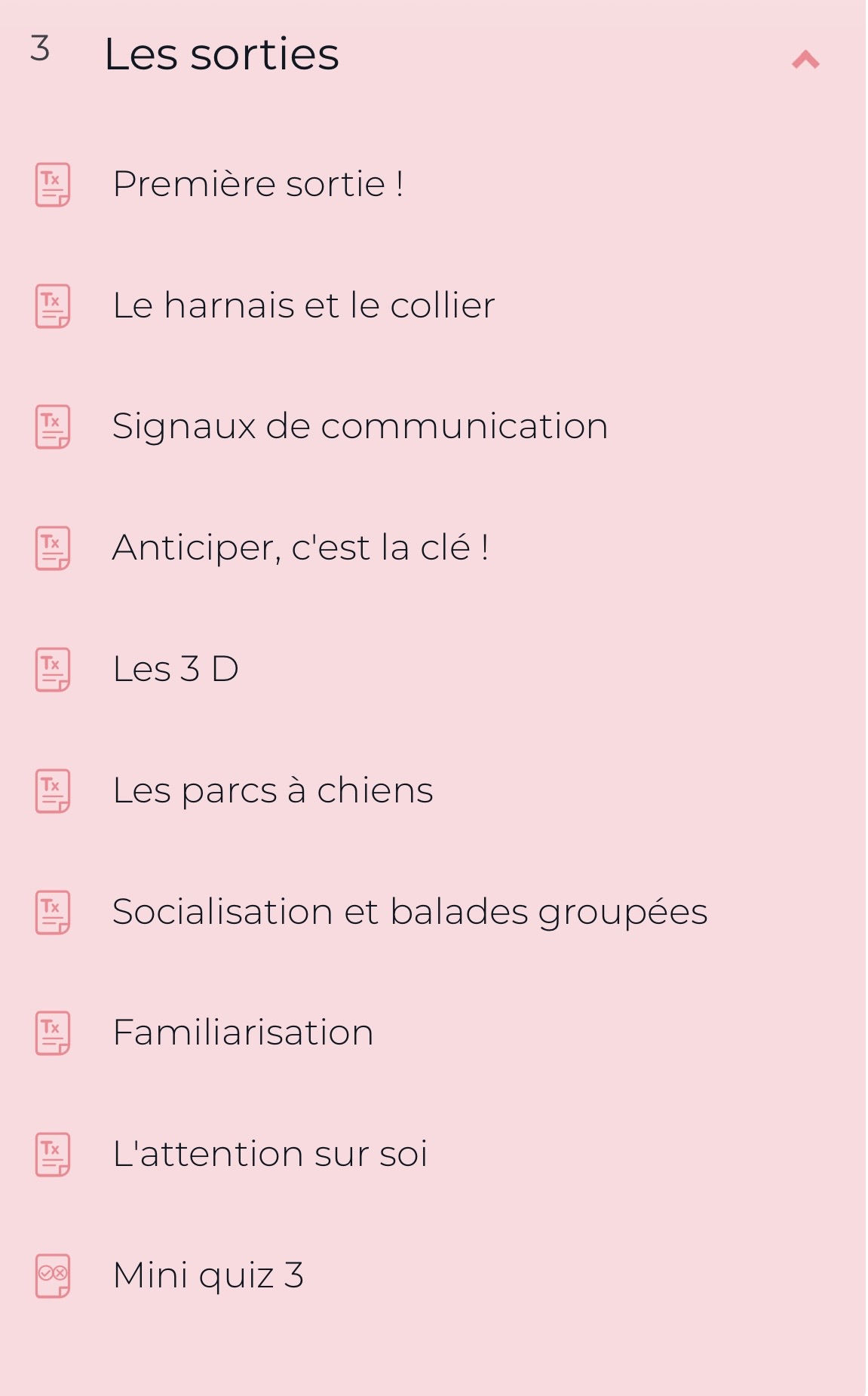 Cours "Adopter un chien : démarrer au poil" par FantastiChien – Image 5