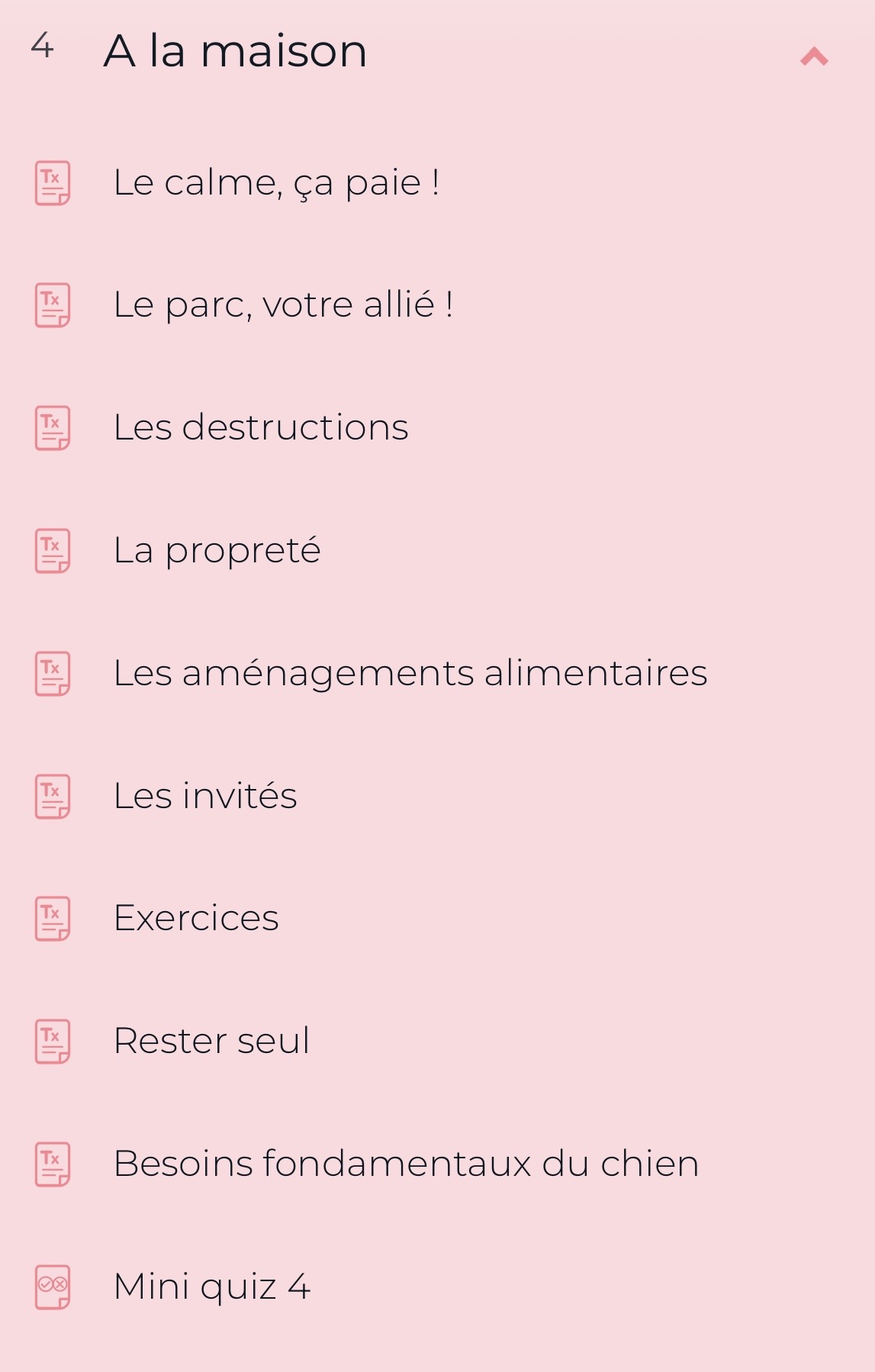 Cours "Adopter un chien : démarrer au poil" par FantastiChien – Image 6