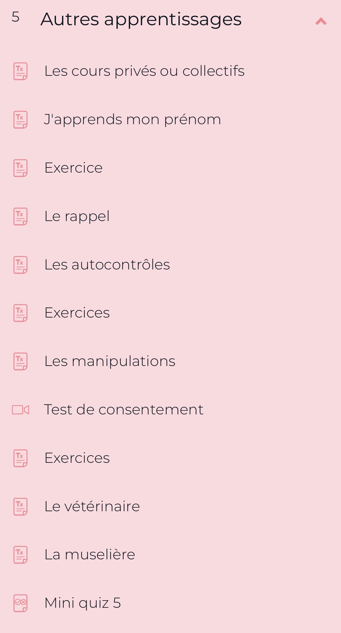 Cours "Adopter un chien : démarrer au poil" par FantastiChien – Image 7