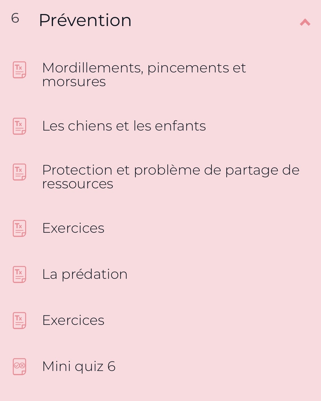 Cours "Adopter un chien : démarrer au poil" par FantastiChien – Image 8