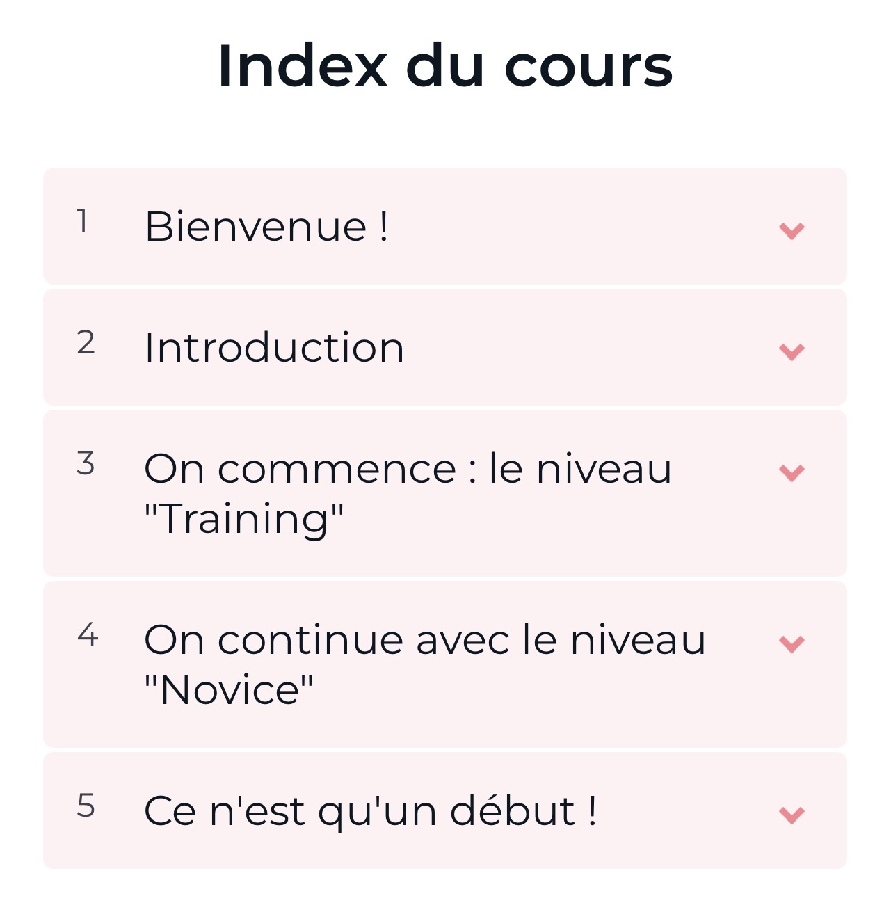 Cours "Débuter en DogParkour" par FantastiChien – Image 2