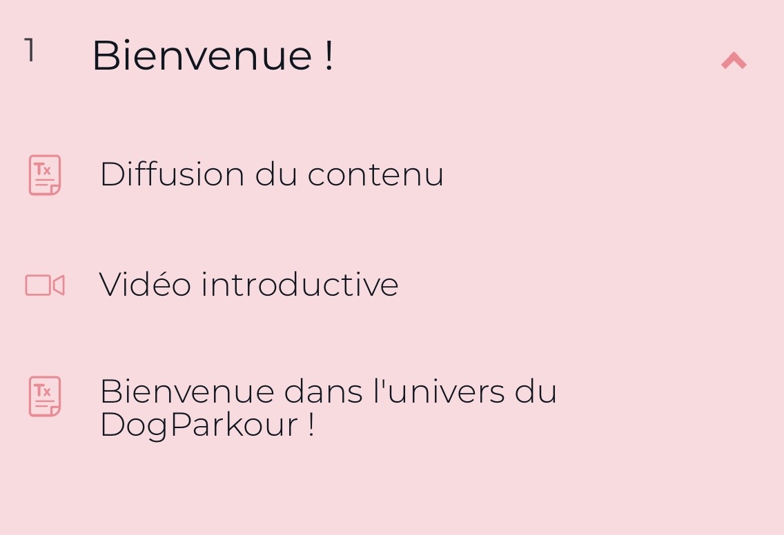 Cours "Débuter en DogParkour" par FantastiChien – Image 3