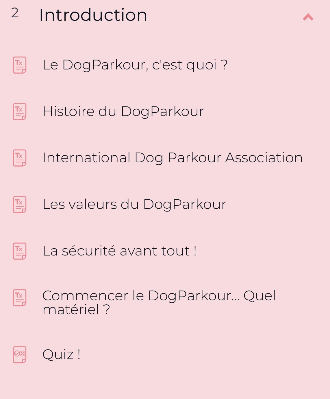 Cours "Débuter en DogParkour" par FantastiChien – Image 4