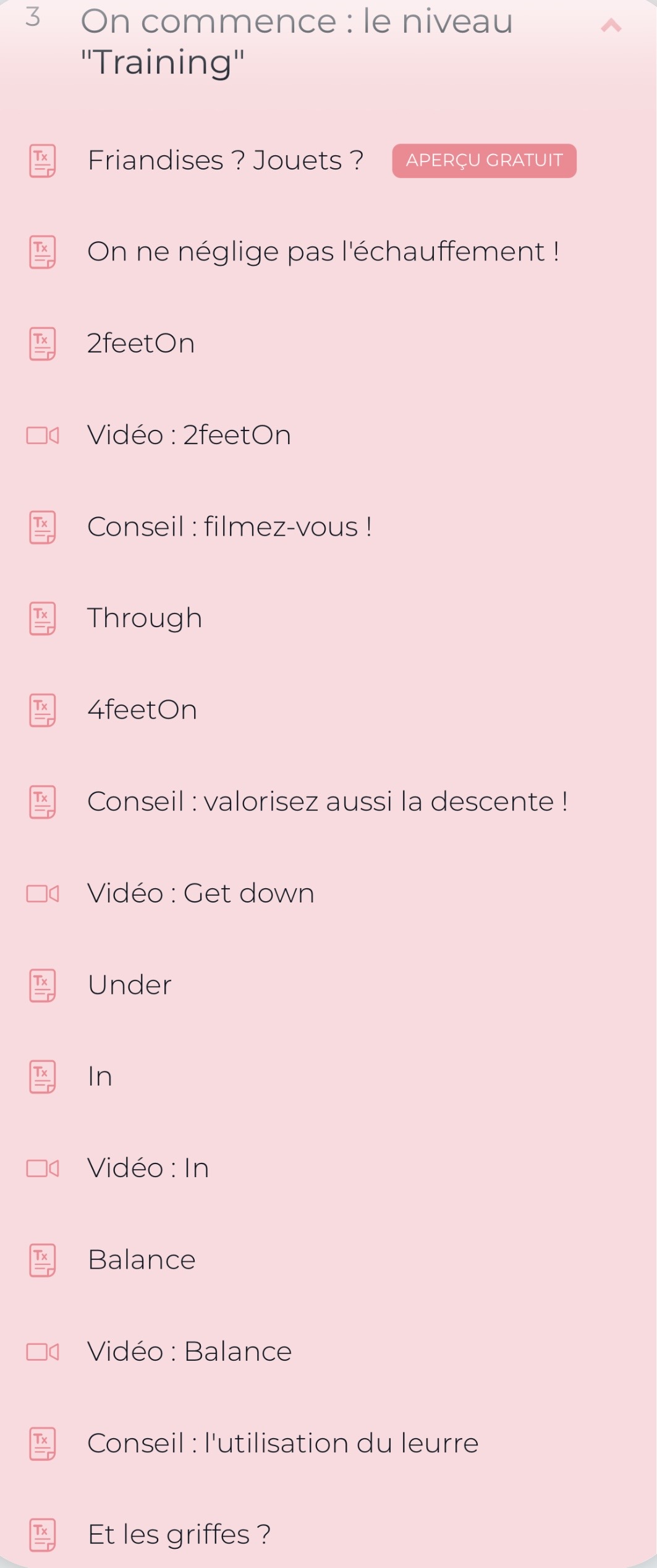 Cours "Débuter en DogParkour" par FantastiChien – Image 5