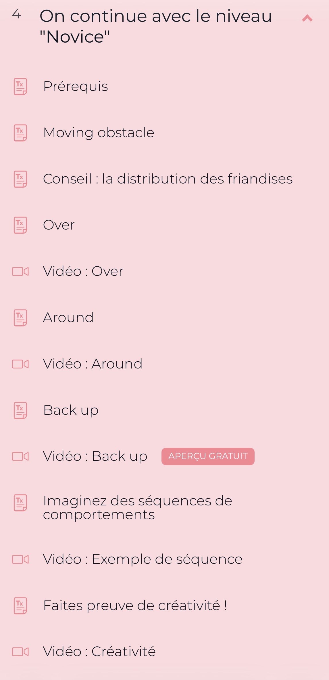 Cours "Débuter en DogParkour" par FantastiChien – Image 6