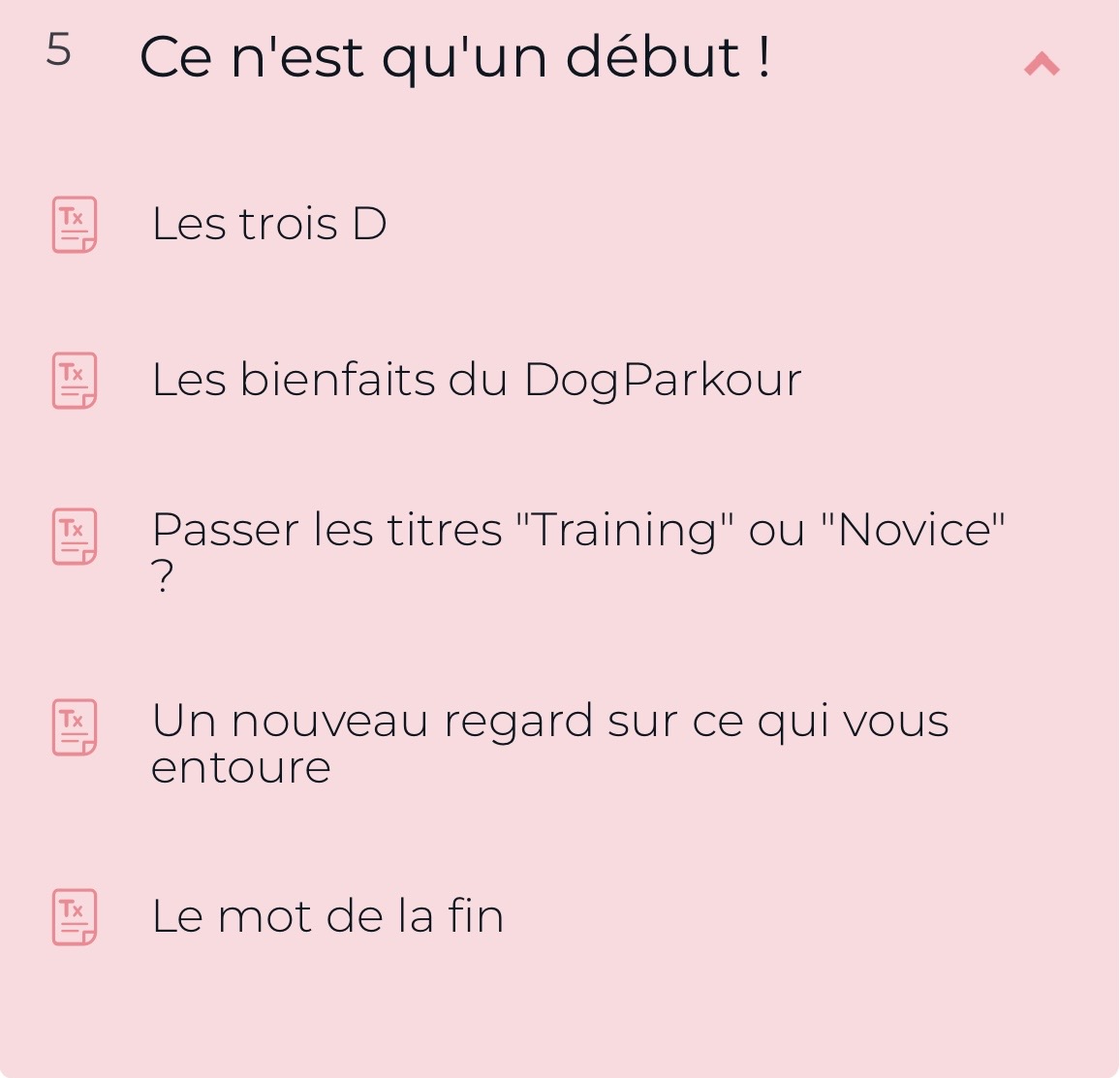 Cours "Débuter en DogParkour" par FantastiChien – Image 7