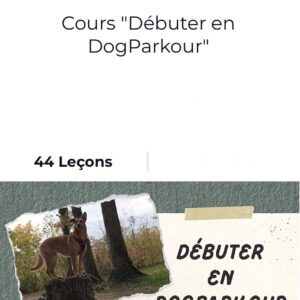 Cours "Débuter en DogParkour" par FantastiChien