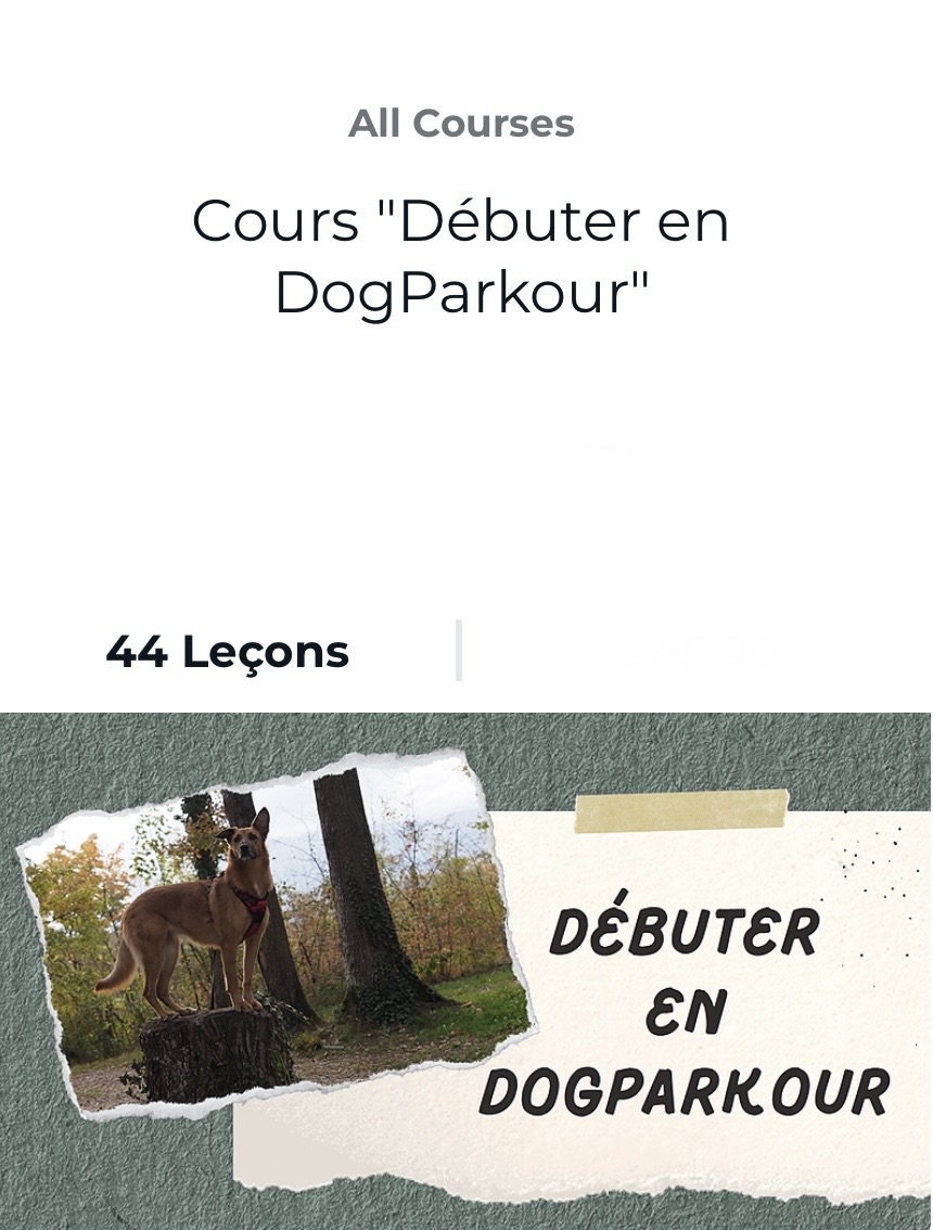 Cours "Débuter en DogParkour" par FantastiChien
